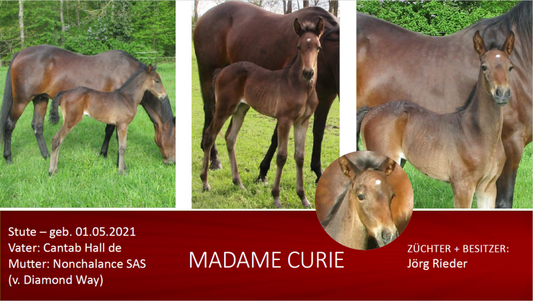 Madame Curie