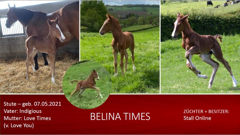 Belina Times