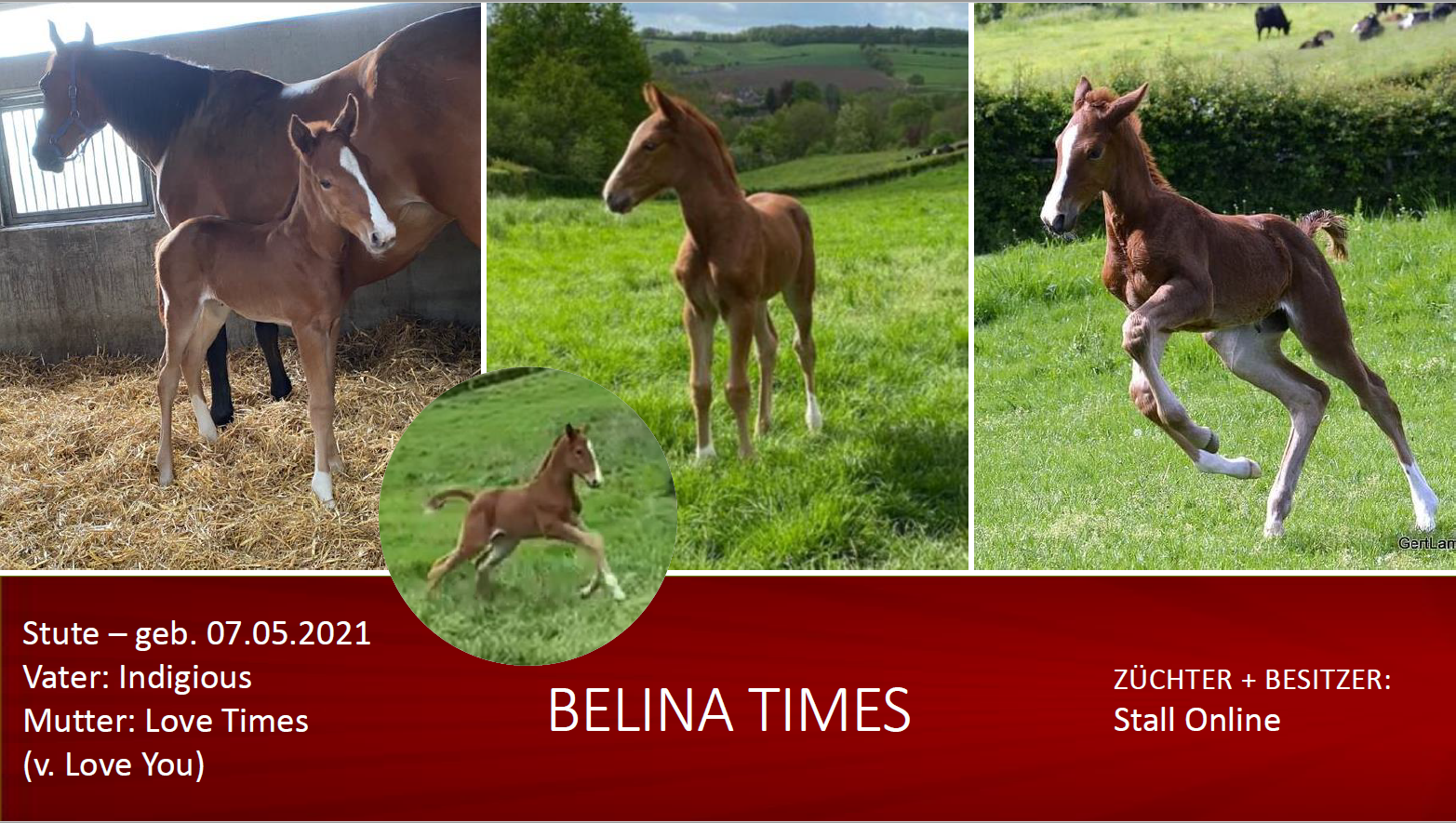 Belina Times
