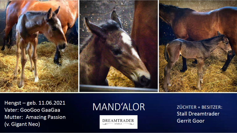 Mand'alor