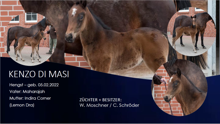 Kenzo di Masi