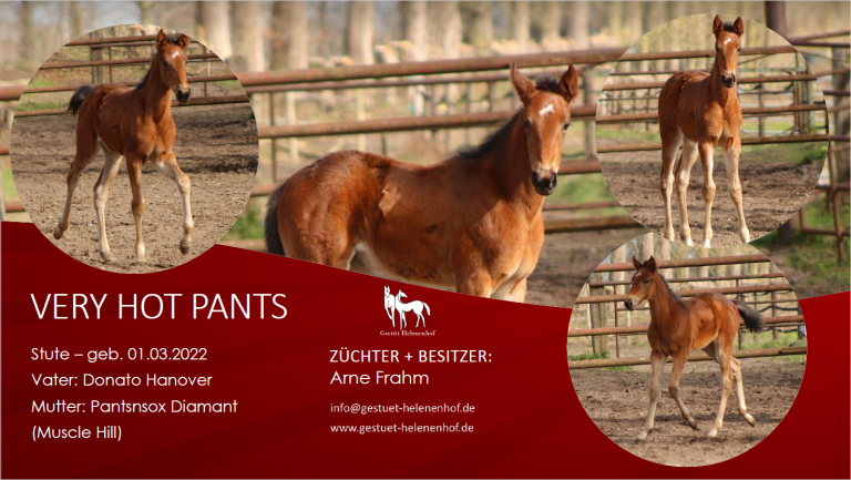 Very Hot Pants