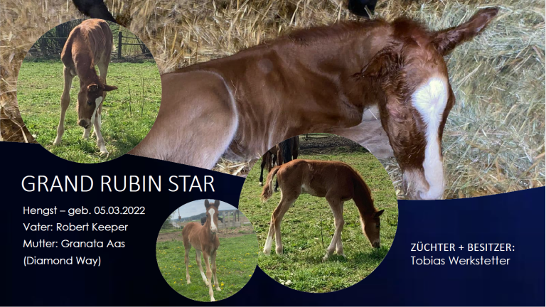 Grand Rubin Star