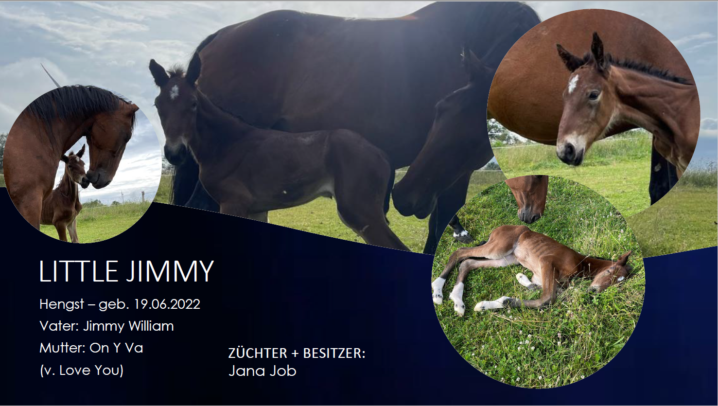 Little Jimmy
