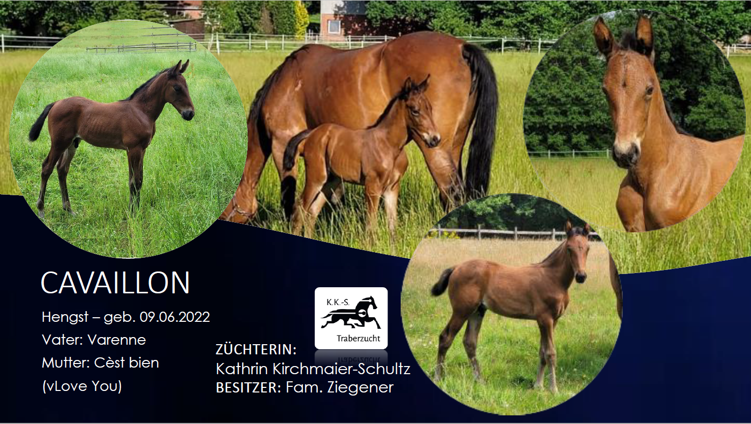 Cavaillon
