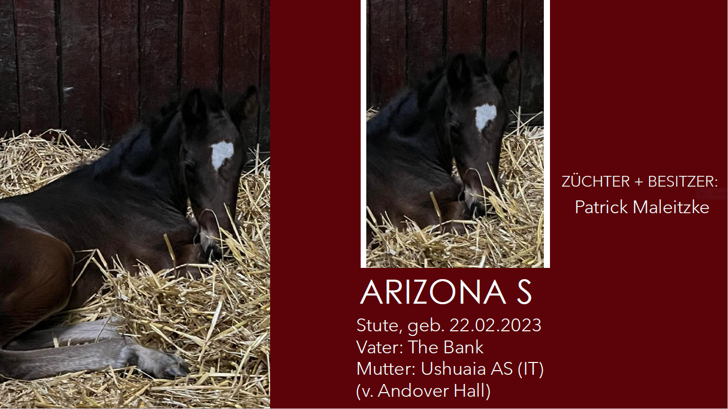 Arizona S