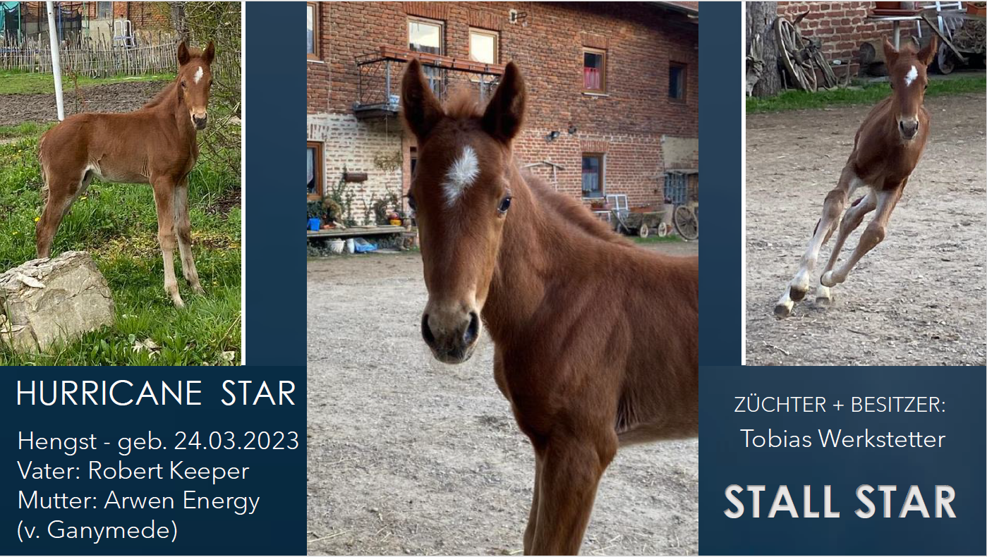 Hurricane Star