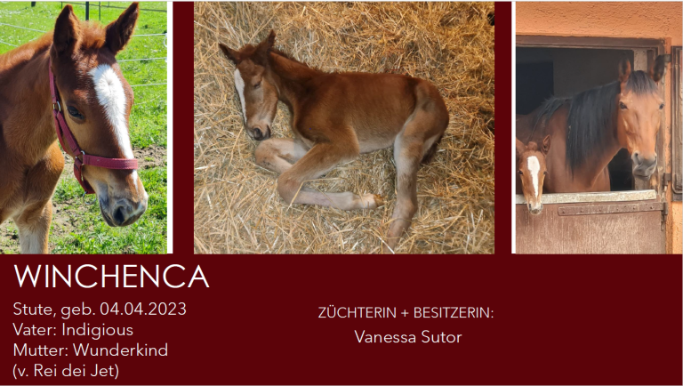 WINCHENCA