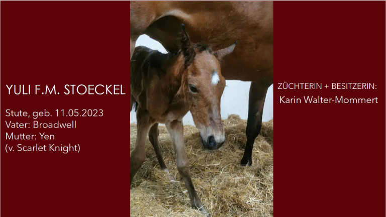 YULI F.M. STOECKEL