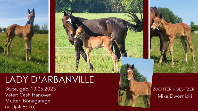 Lady D'arbanville