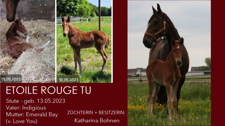 ETOILE ROUGE TU