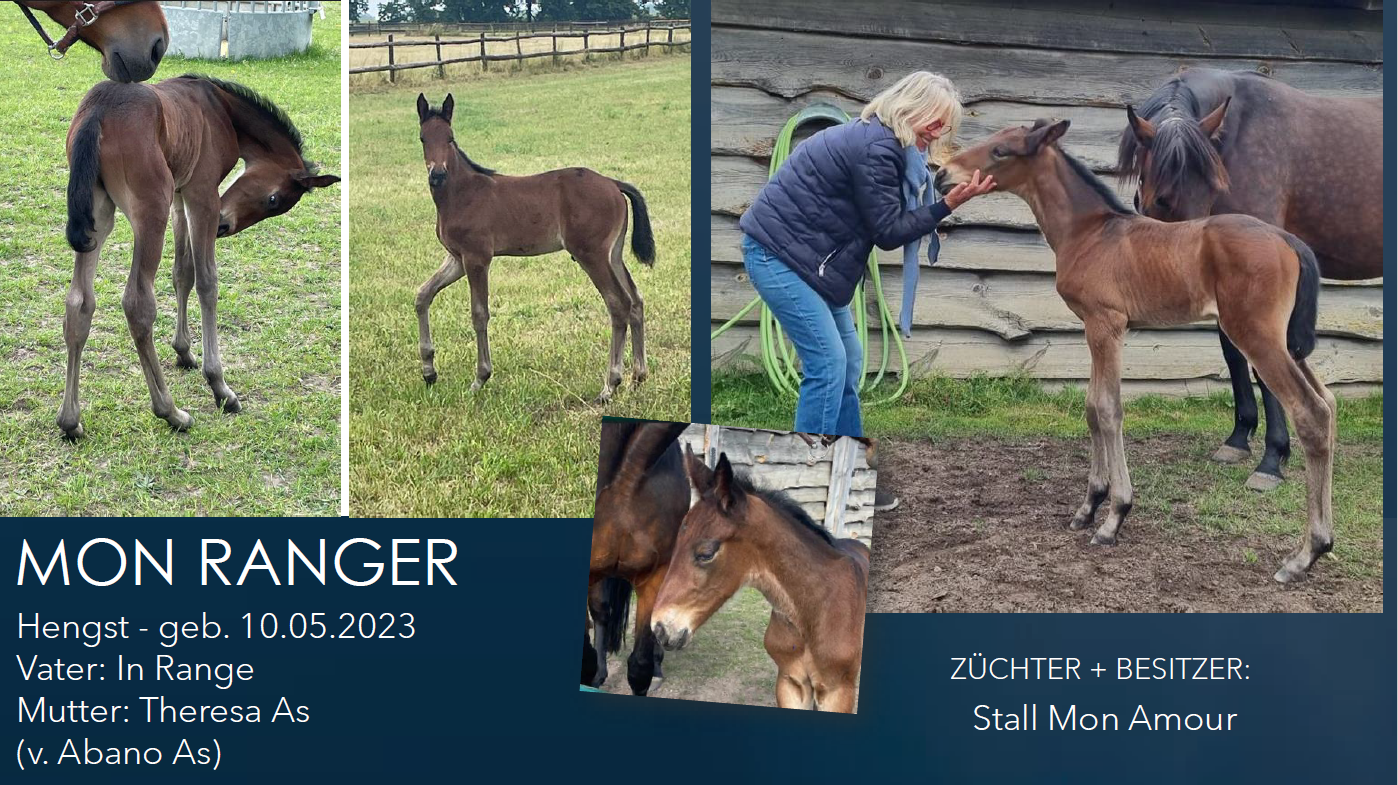 MON RANGER