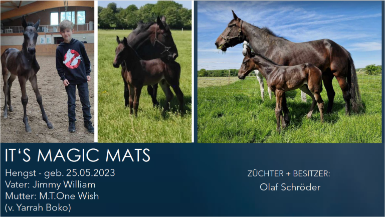 IT'S MAGIC MATS