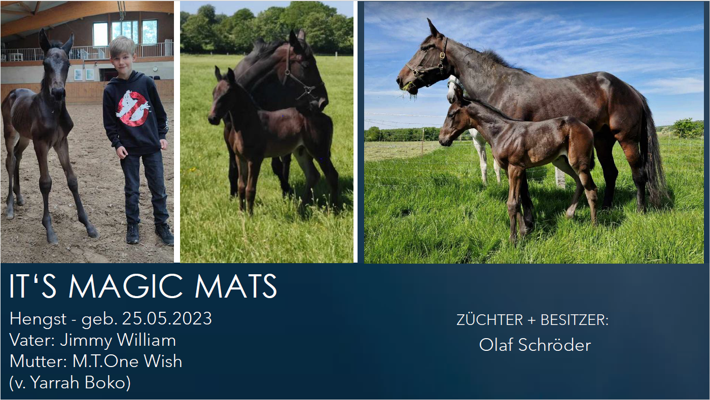 IT'S MAGIC MATS