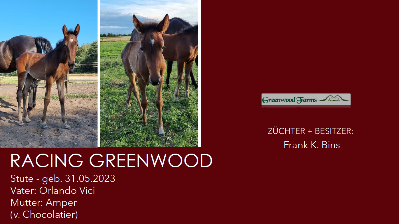 Racing Greenwood