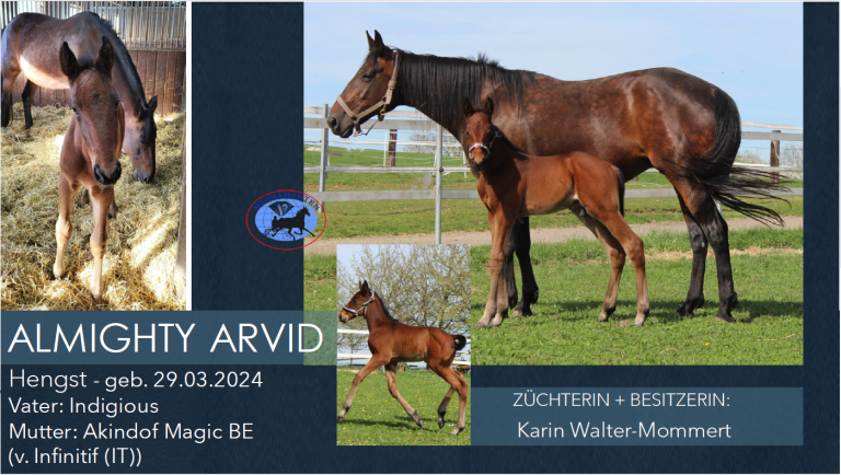ALMIGHTY ARVID
