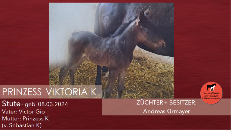 PRINZESS VIKTORIA K