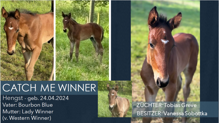 Catch me Winner