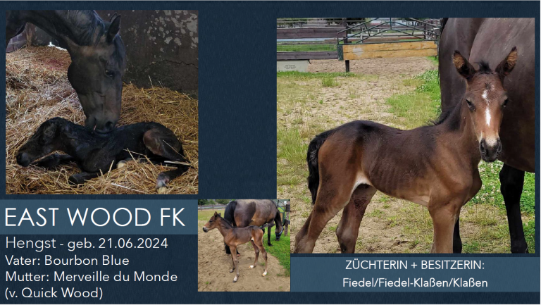 East Wood FK