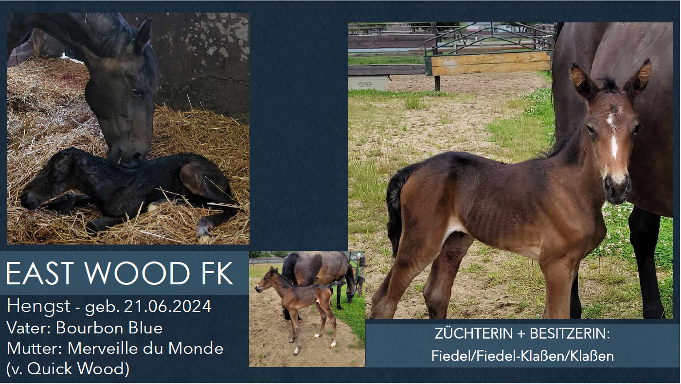 East Wood FK