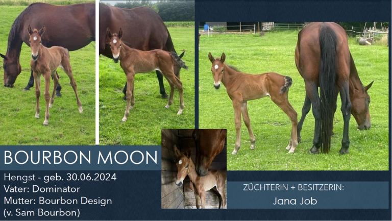 Bourbon Moon