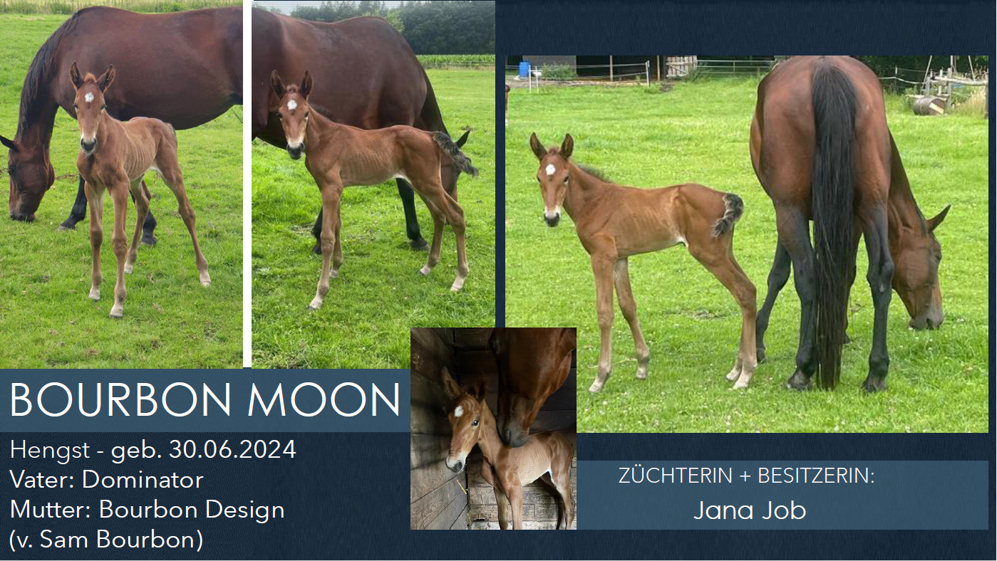 Bourbon Moon