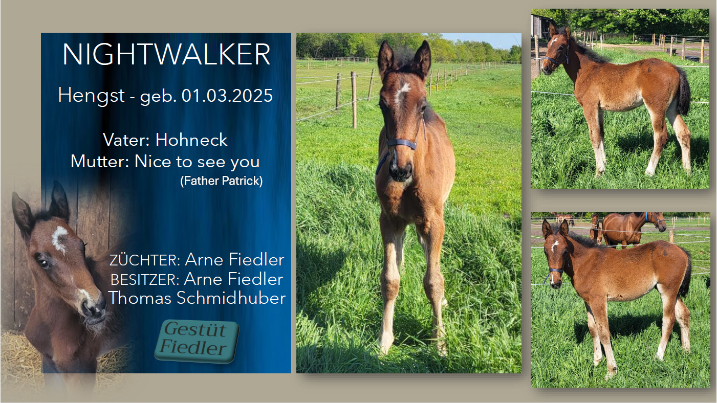 Nightwalker