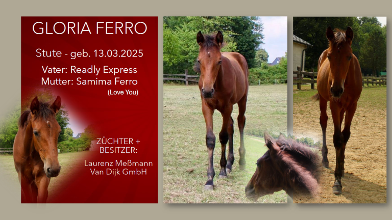 Gloria Ferro