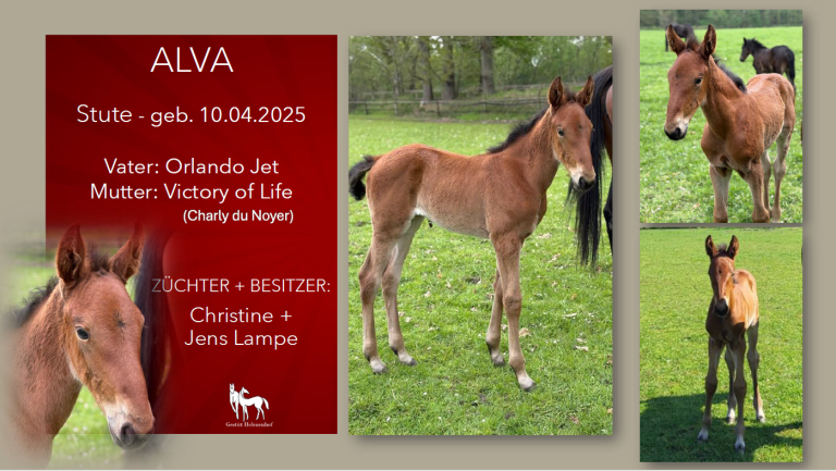 Alva