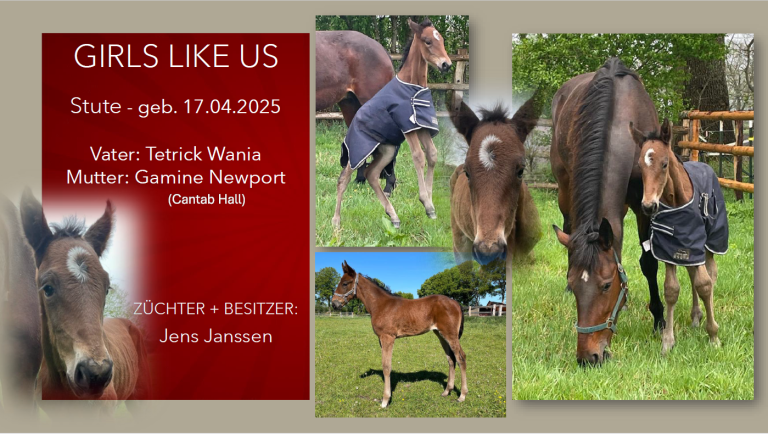 Girls Like Us