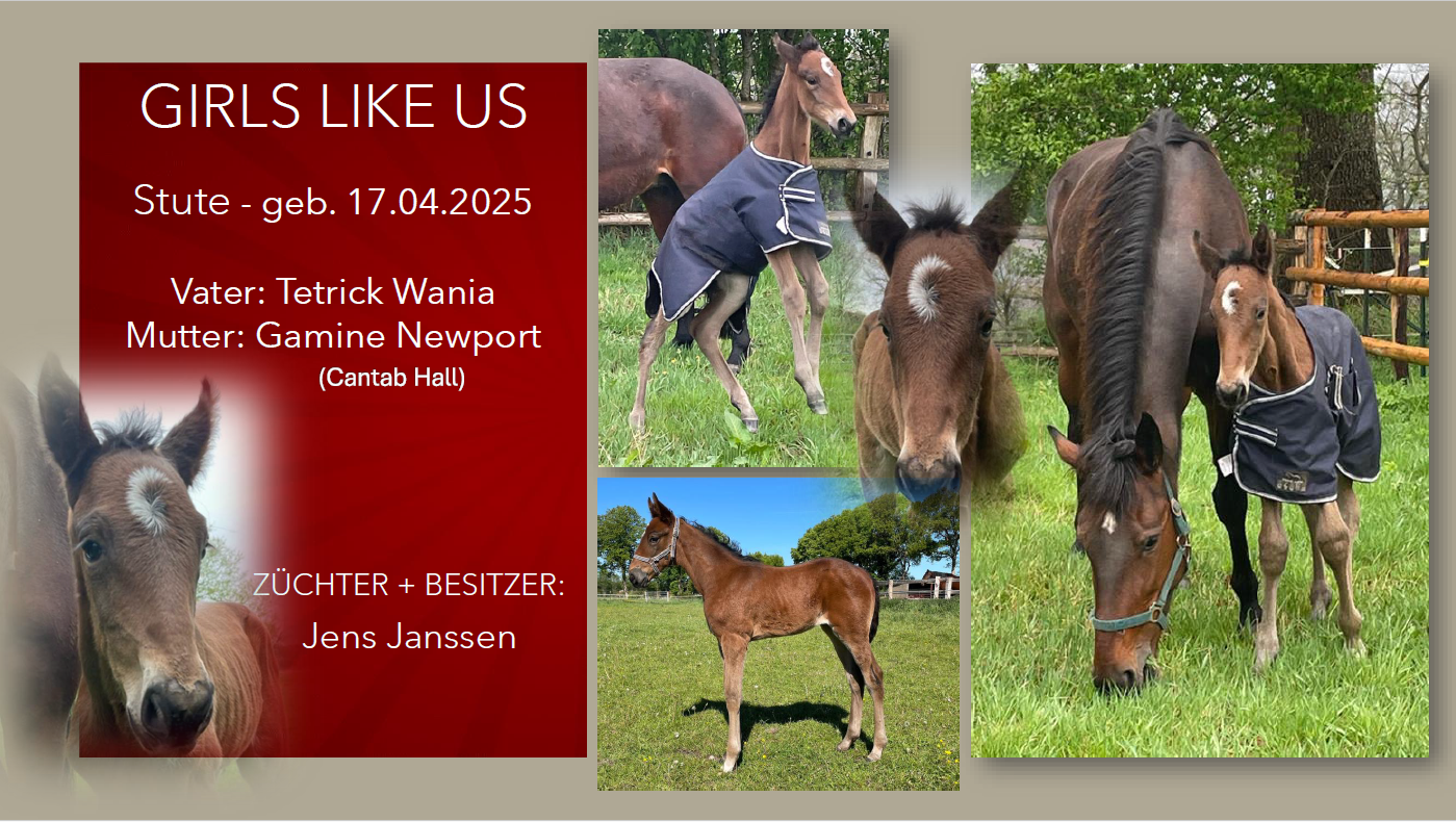 Girls Like Us