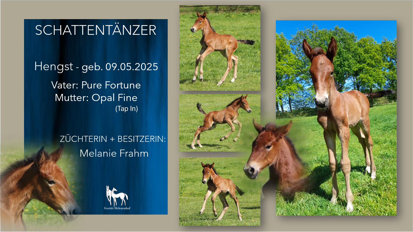 Schattentänzer