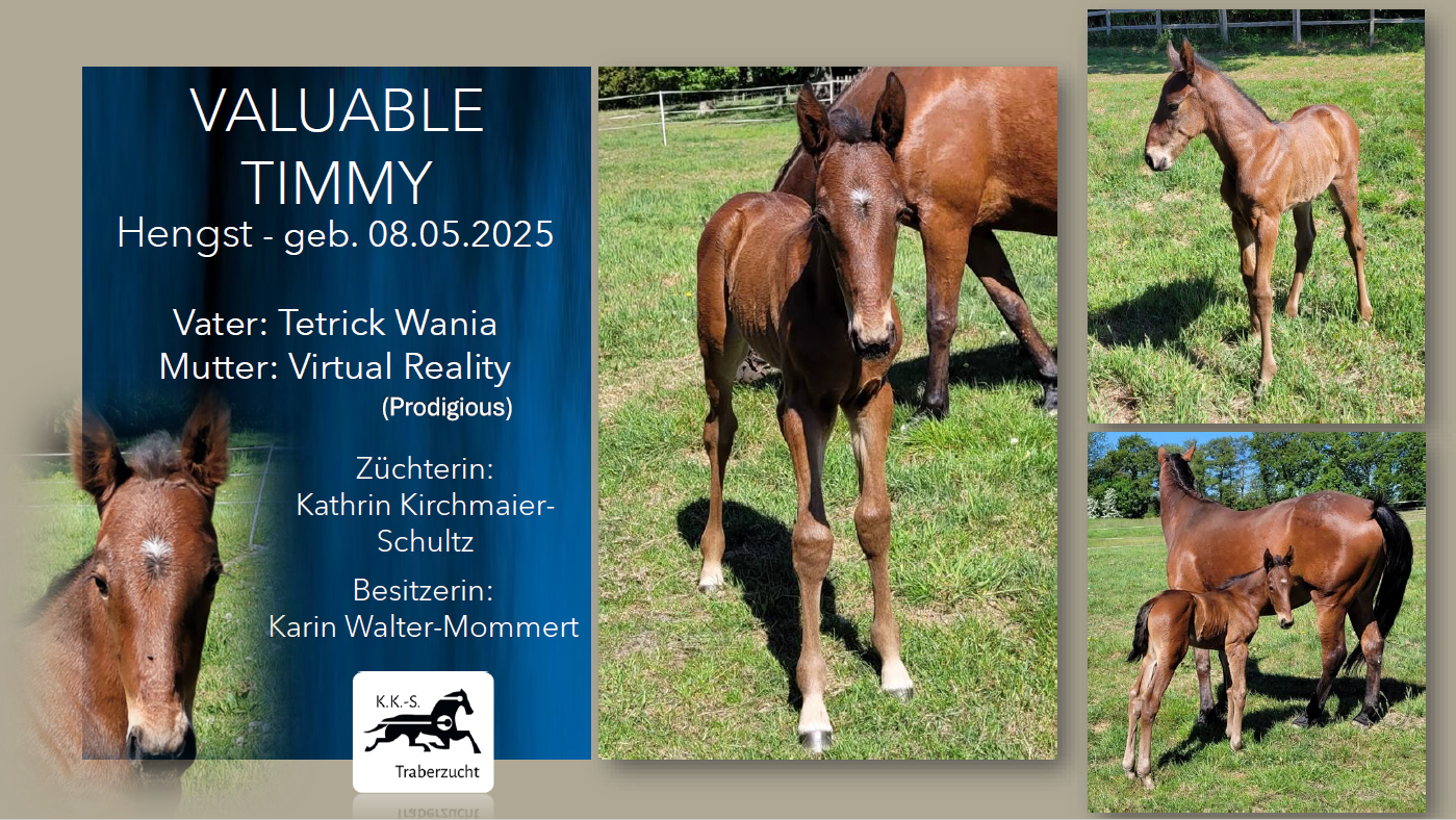 Valuable Timmy