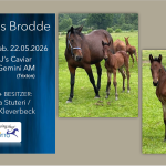 Höwings Brodde
